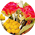 �h���C�t�����[�X