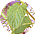 �n�[�u�̂��X