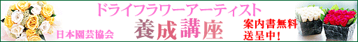 �j���[�E�h���C�t�����[�A�[�e�B�X�g�{���u����
