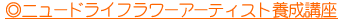�h���C�t�����[�A�[�e�B�X�g�{���u��