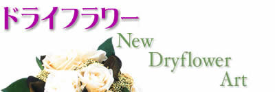 �h���C�t�����[�V���b�v