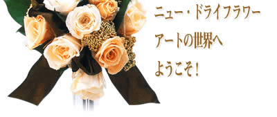 �j���[�h���C�t�����[�A�[�g�̐��E
