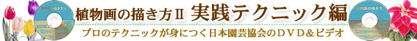 植物の描き方U「実践テクニック編」