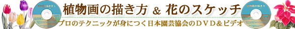 植物画の描き方&花のスケッチ DVD&ビデオ‐日本カタログショッピング