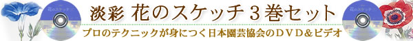淡彩 花のスケッチT、U、V 3巻セット