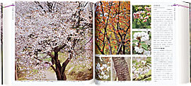 山渓カラー名鑑「日本の樹木」
