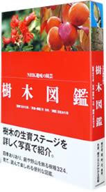 NHK趣味の園芸「樹木図鑑」