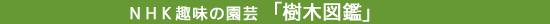NHK趣味の園芸「樹木図鑑」