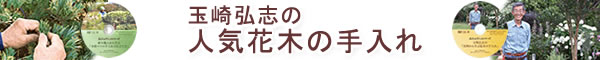 玉崎弘志の「人気花木の手入れ」