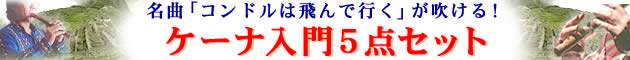 P[iT_Zbg