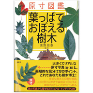 原寸図鑑　葉っぱでおぼえる樹木