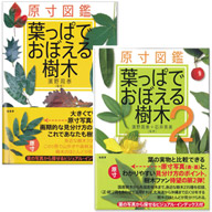 「原寸図鑑　葉っぱでおぼえる樹木」2巻セット