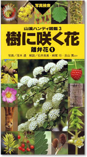 山渓ハンディ図鑑-3　樹に咲く花　離弁花1