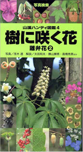 山渓ハンディ図鑑-4　樹に咲く花　離弁花2